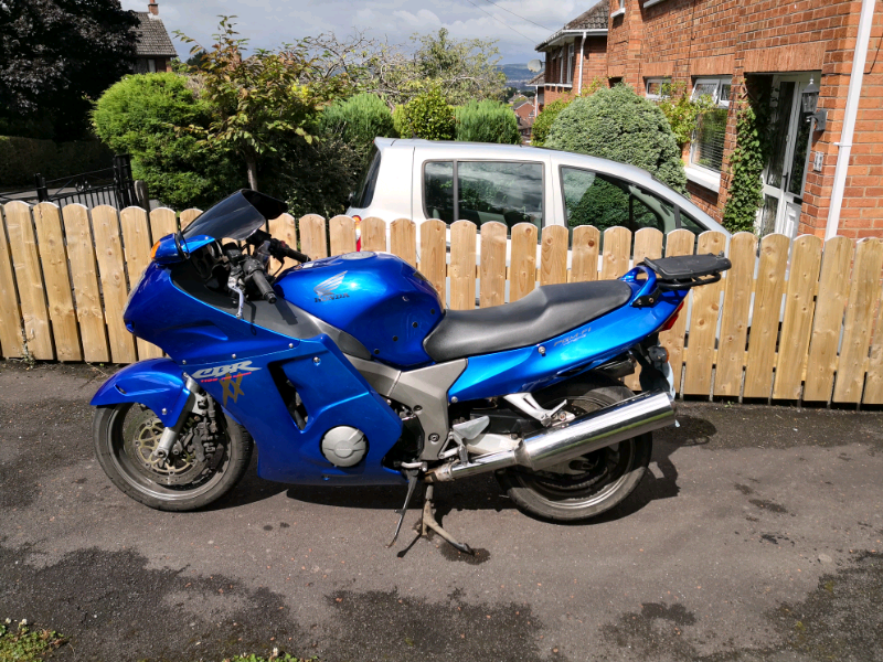 honda blackbird for sale gumtree